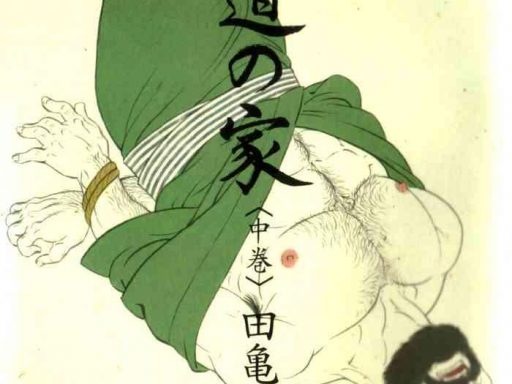 gedou no ie chuukan house of brutes vol 2 ch 1 cover