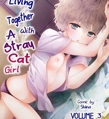 noraneko shoujo to no kurashikata vol 3 living together with a stray cat girl vol 3 cover