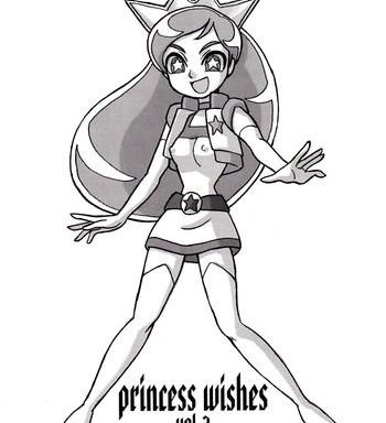 princess wishes vol 2 cover