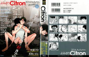 citron 2014 autumn cover