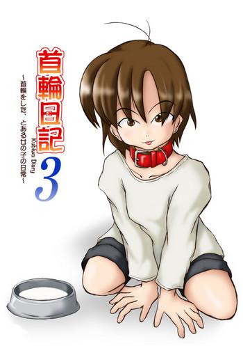 kubiwa diary 3 cover