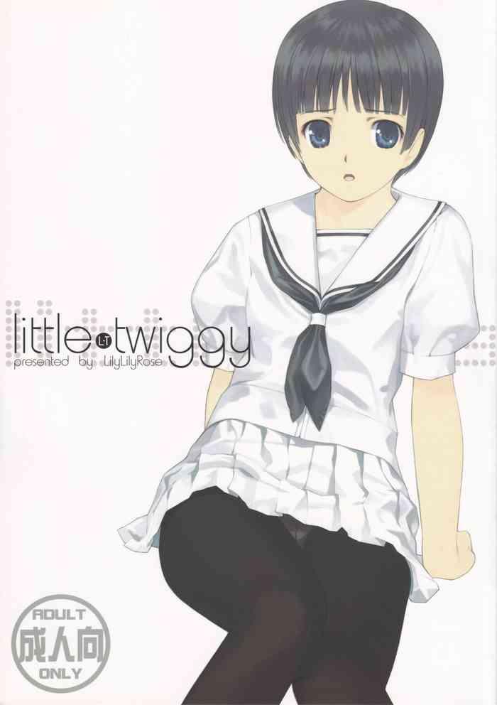little twiggy cover