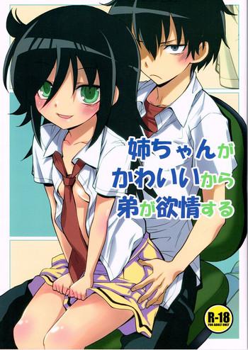 nee chan ga kawaii kara otouto ga yokujo suru cover