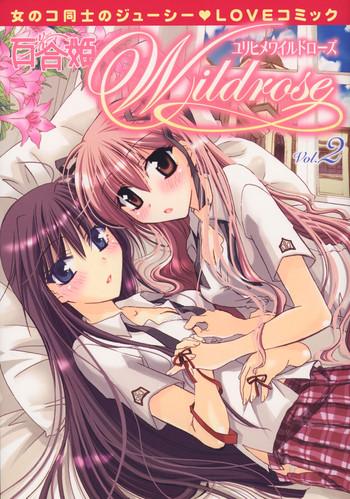 17433 cover