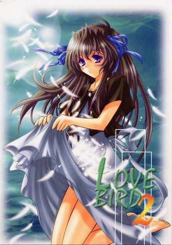 love bird 2 cover